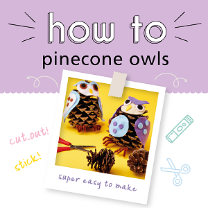 How-to craft guide: Pinecone owls – Eduzone Ltd