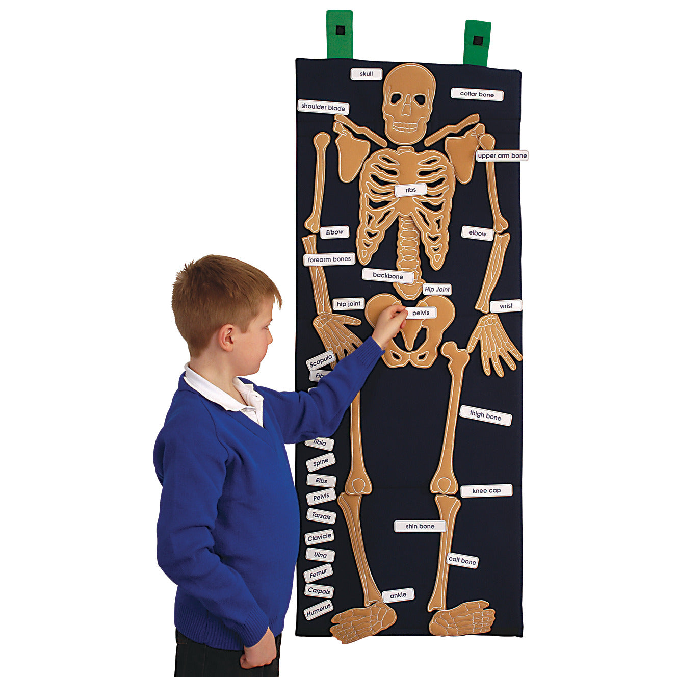 Bag of Bones Fabric Learning Aid