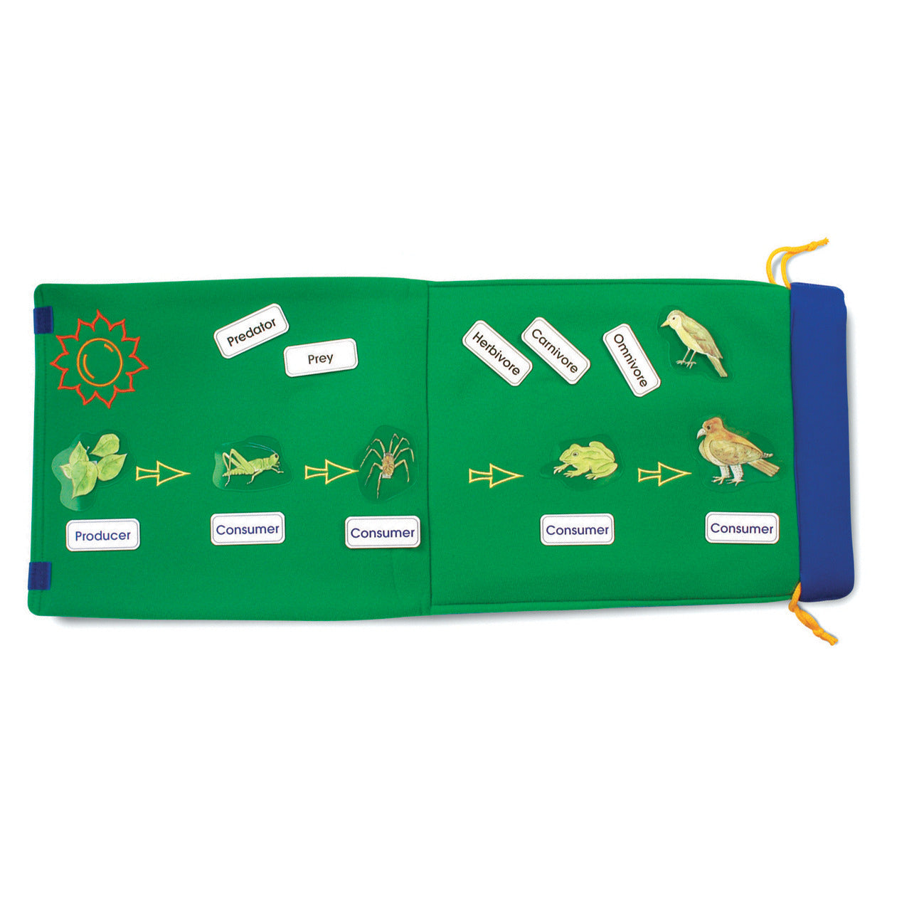 Fold Out Food Chain Fabric Learning Aids