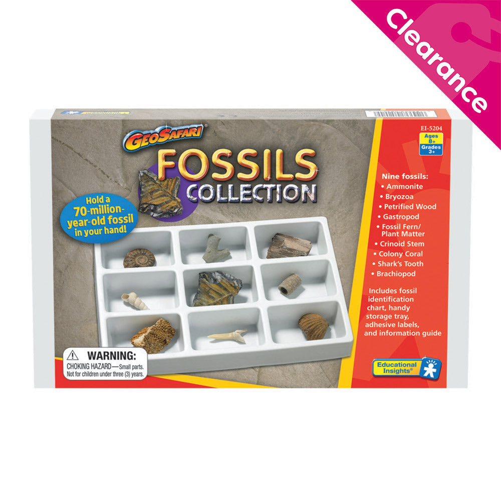 Fossils Collection