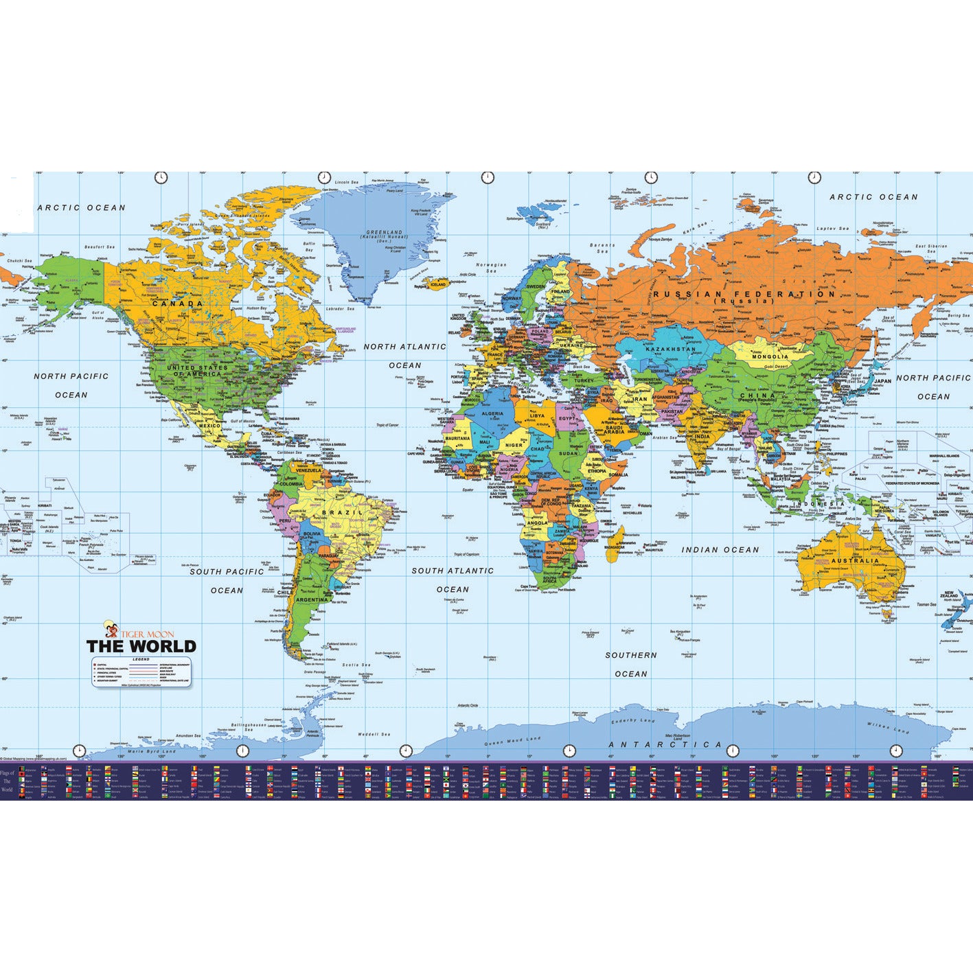 World/Europe Reversible Vinyl Map