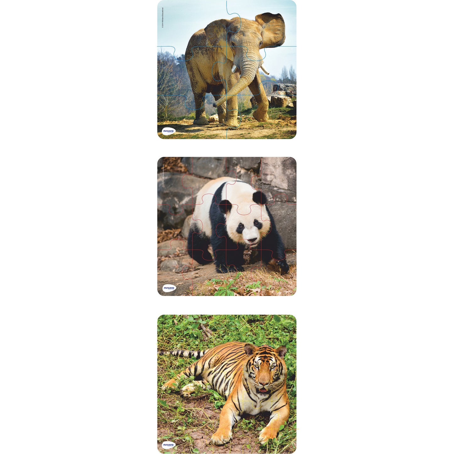 Washable Plastic Animal Puzzles