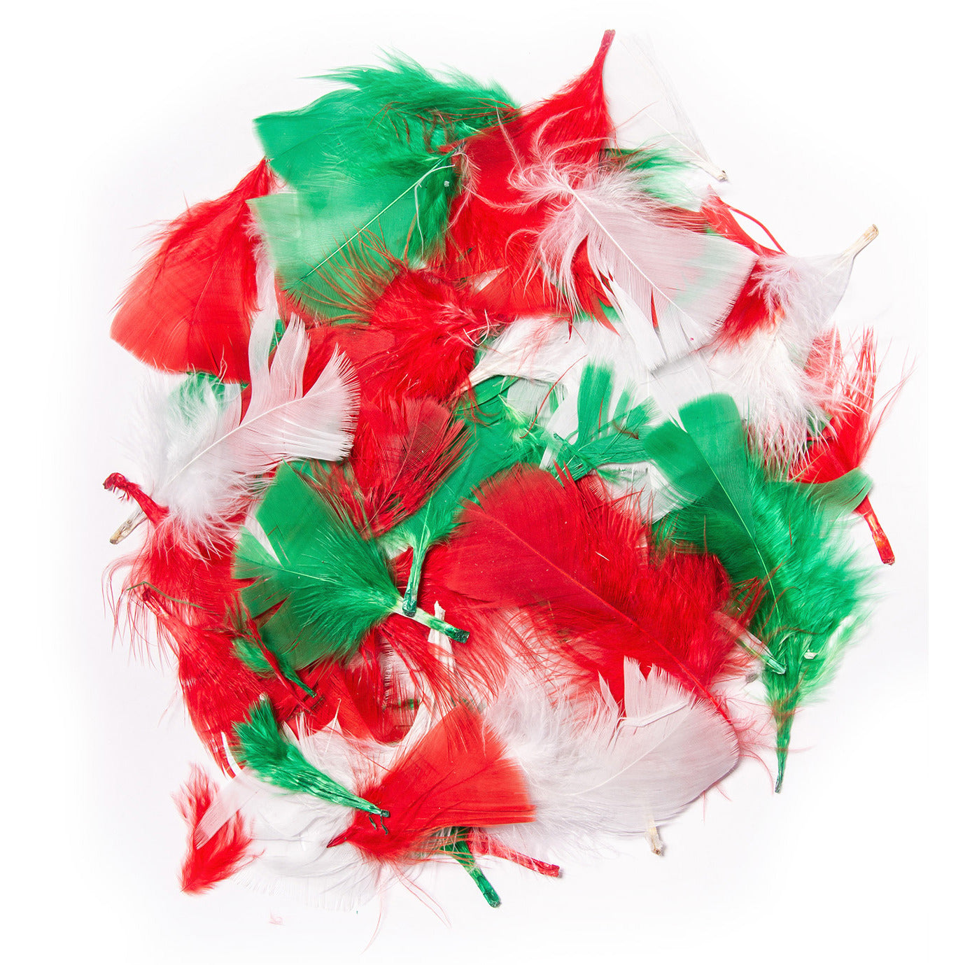 Festive Feathers