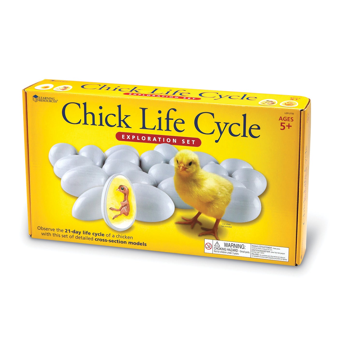 Learning Resources Chick Life Cycle Exploration Set