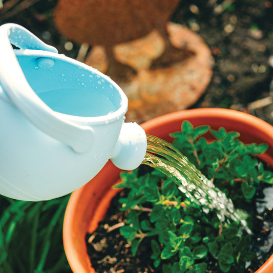 Silicone Watering Can