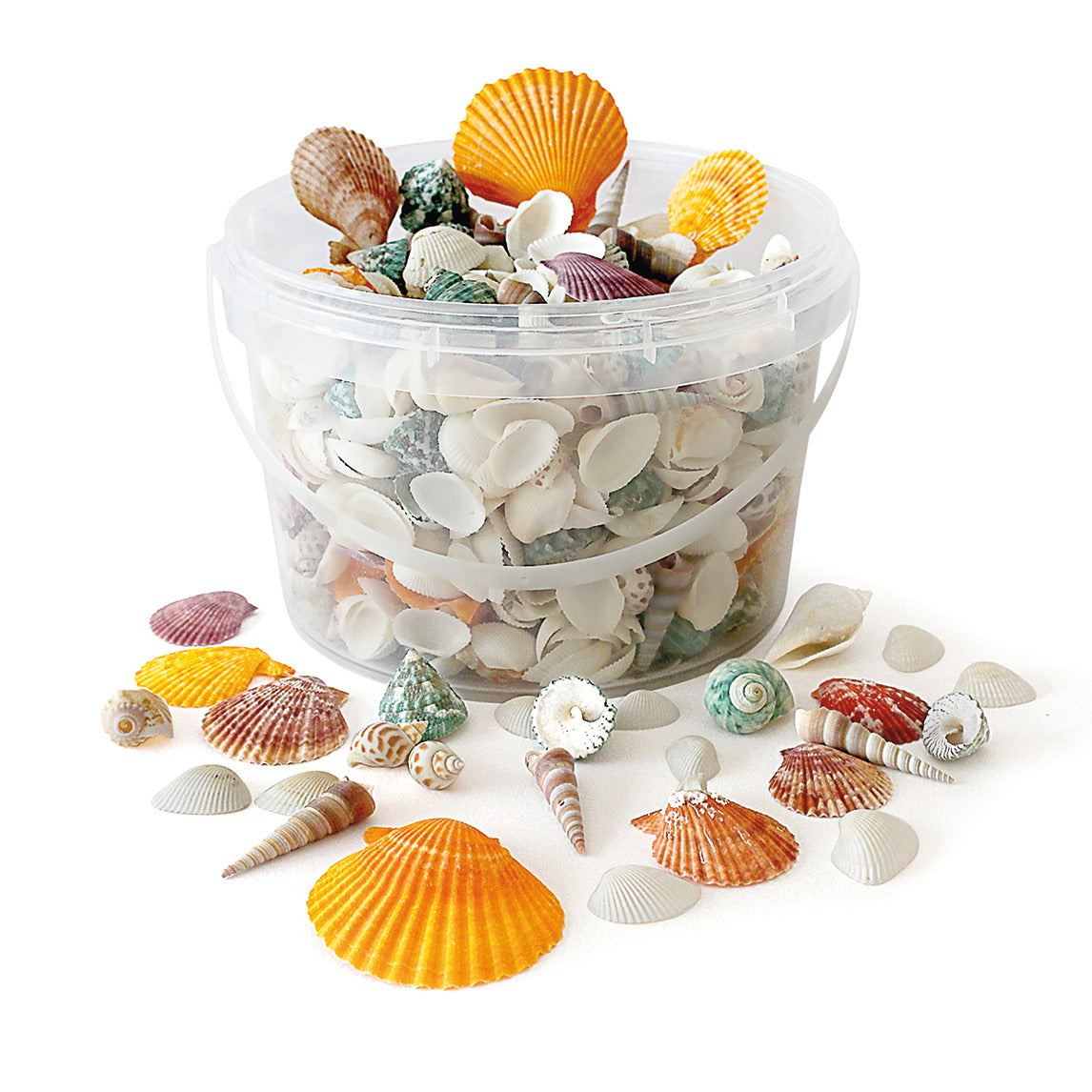 Mixed Shells 2.5 Litre Tub