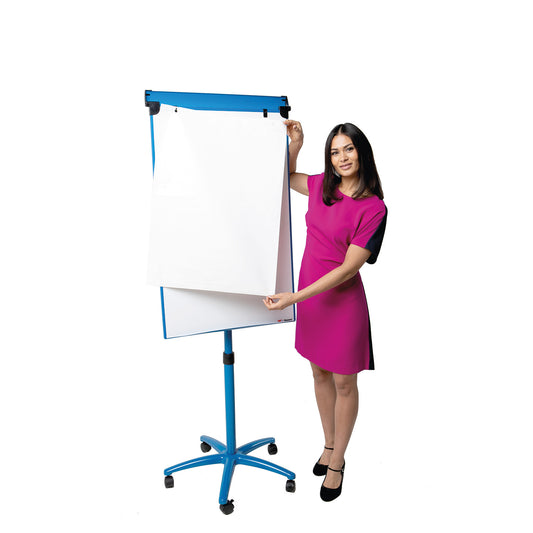 Buzzard Magnetic Mobile Flipchart Easel