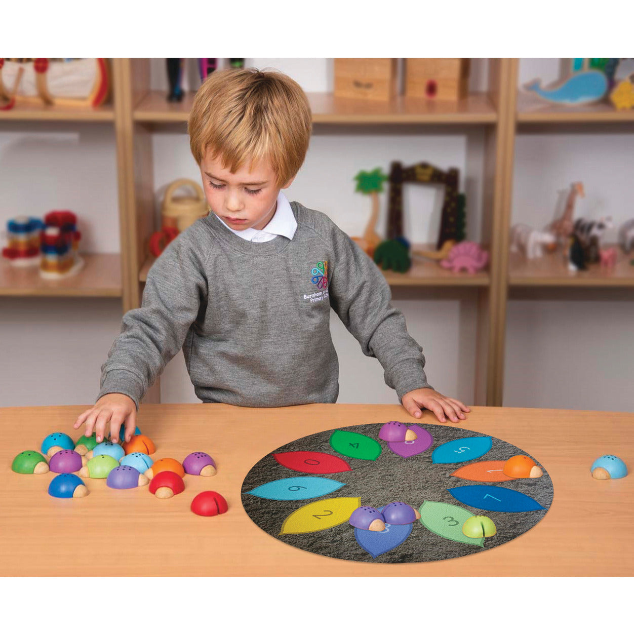 Ladybird & Leaf Sorting Mat